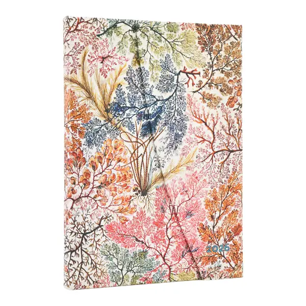 paperblanks Kalender 2026 - Anemone - Midi - Verso mit Klappumschlag