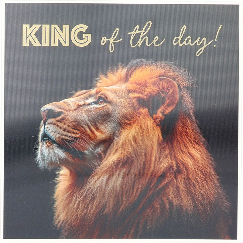3D Musikkarte quadratisch - 017 - "King of the day!"