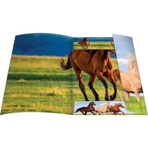 RNK Zeichenmappe Free Horses, 310 x 440mm, A3, Karton