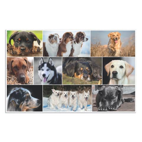 HERMA Schreibunterlage Hunde, 550x350mm
