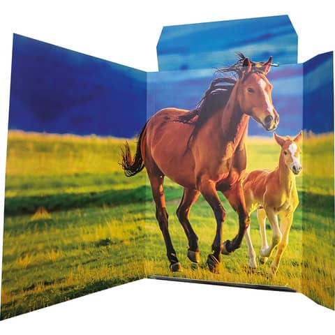 RNK Zeichenmappe Free Horses, 310 x 440mm, A3, Karton