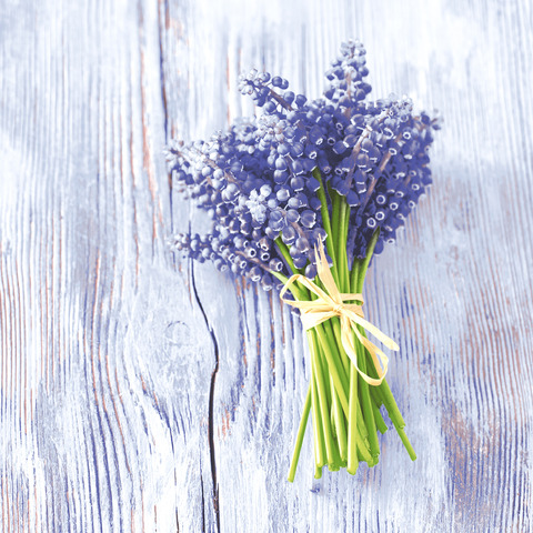 PAPER+DESIGN Motivserviette, Muscari-Bündel, 33 x 33 cm, 3-lagig, 20 Stück