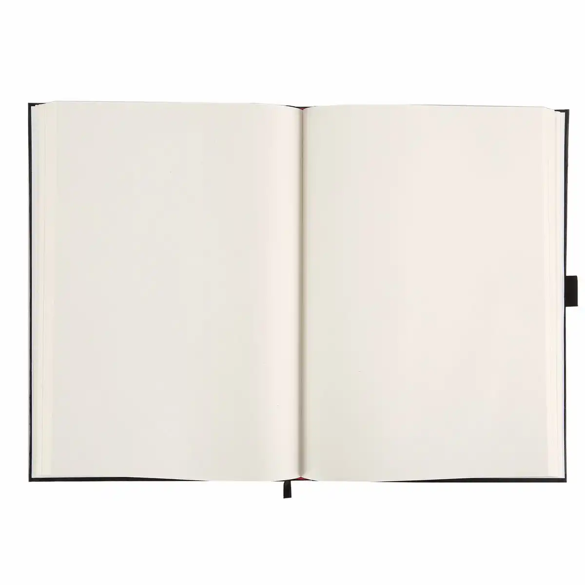 Idena Skizzenbuch 110g/m² DIN A5 160 Seiten