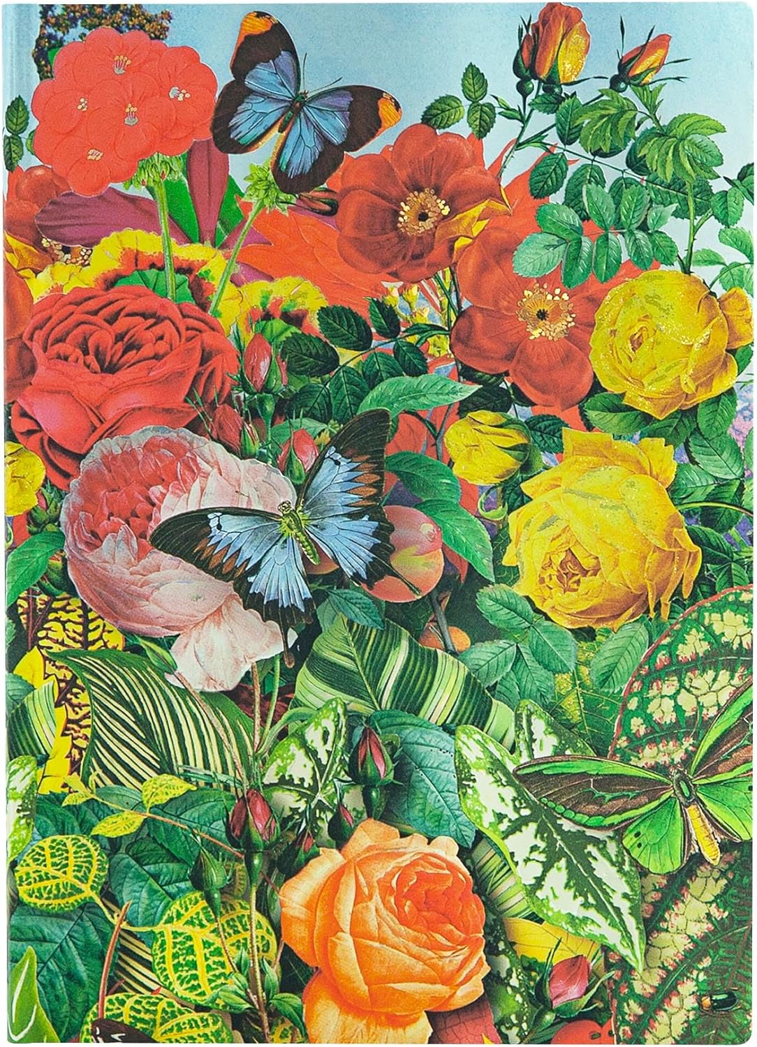 paperblanks - Flexi Softcover - Schmetterlingsgarten / Butterfly Garden - Liniert - Midi paperblanks - Flexi Softcover - Schmetterlingsgarten / Butterfly Garden - Liniert - Midi